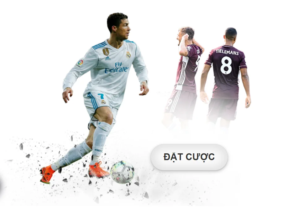 neo79-header-1